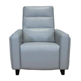 Emery Reclining Chair